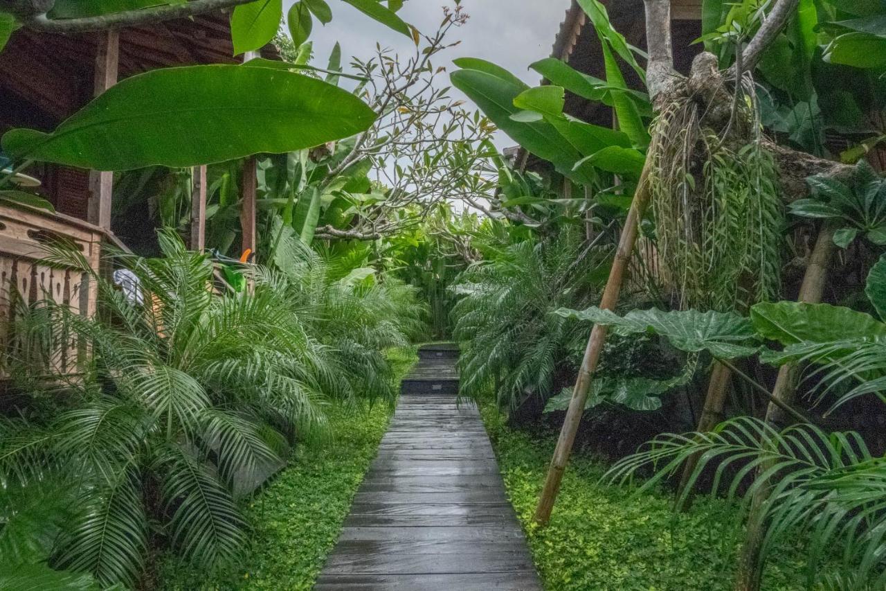 Bajalo Cottage Canggu Kültér fotó